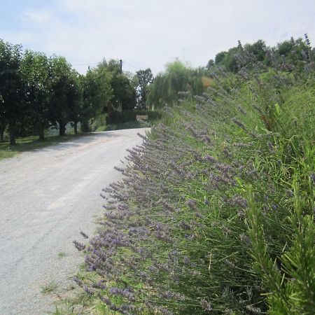 Le Spighe Agriturismo Cesena Bagian luar foto