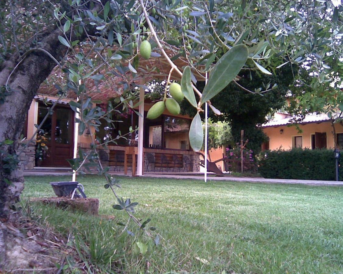 Le Spighe Agriturismo Cesena Bagian luar foto