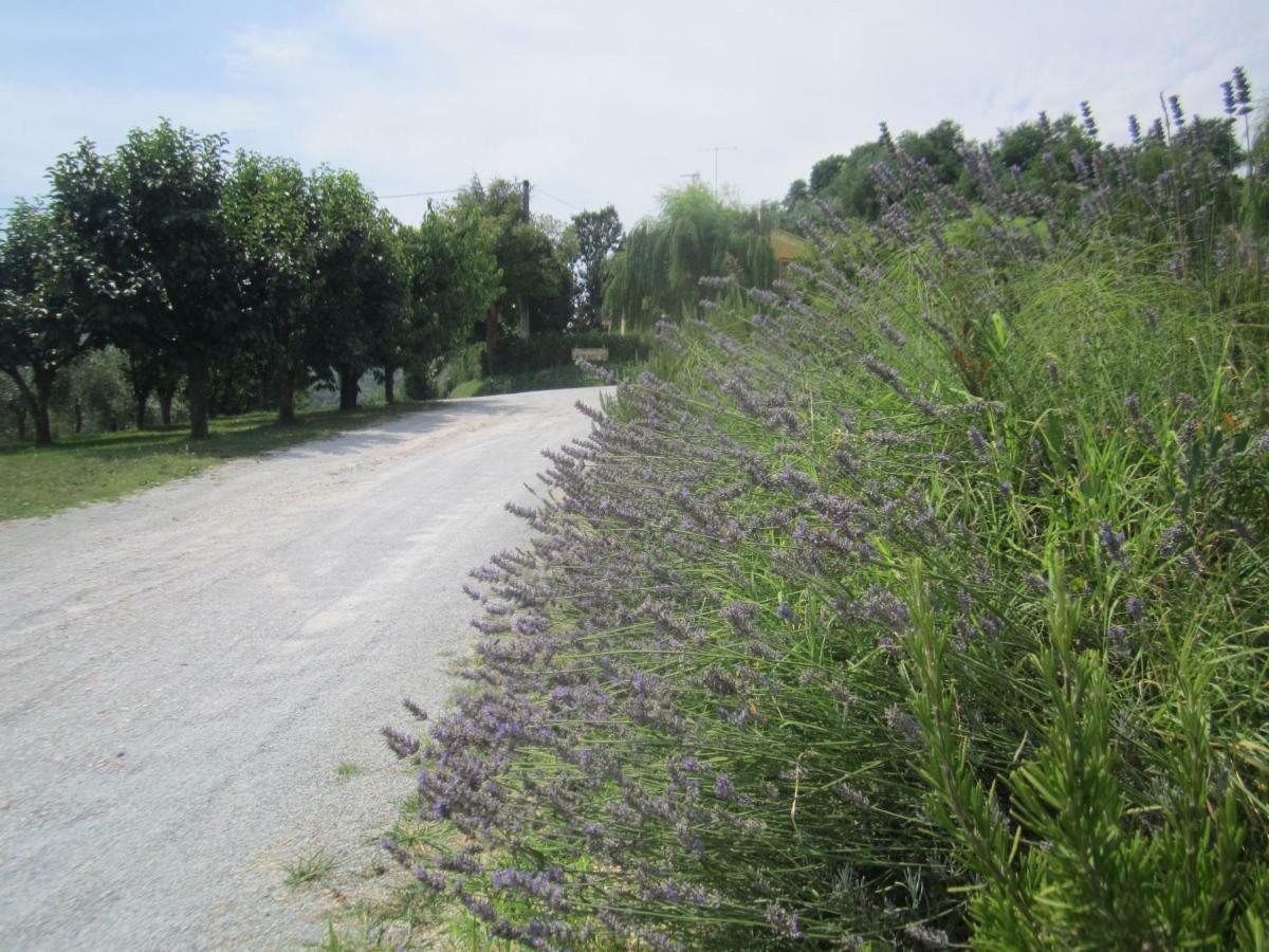 Le Spighe Agriturismo Cesena Bagian luar foto