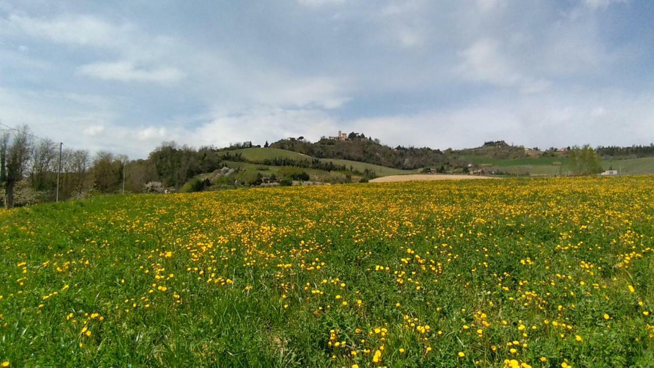 Le Spighe Agriturismo Cesena Bagian luar foto