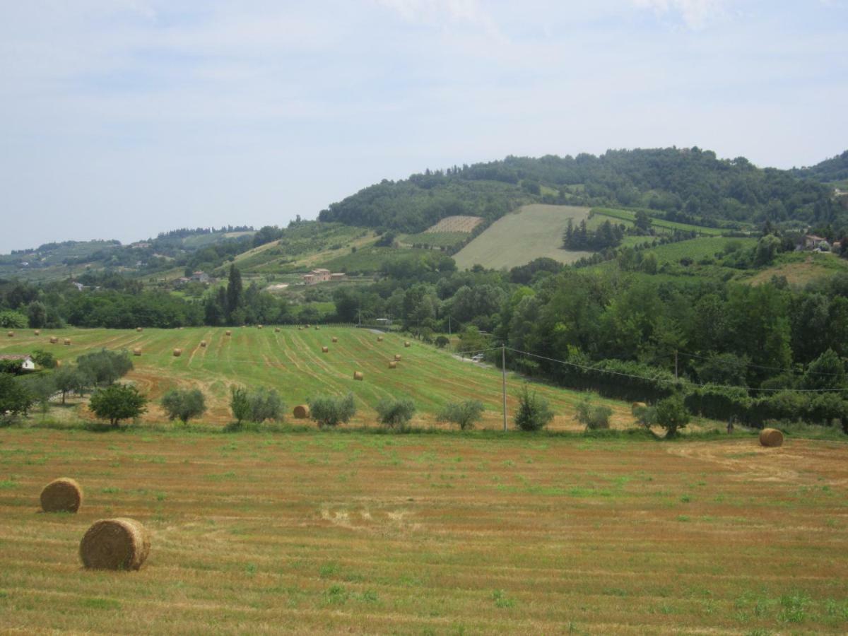 Le Spighe Agriturismo Cesena Bagian luar foto