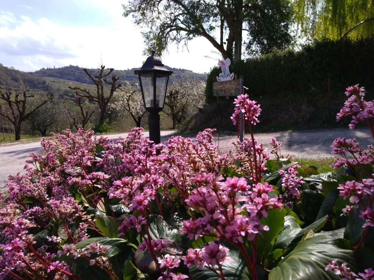 Le Spighe Agriturismo Cesena Bagian luar foto